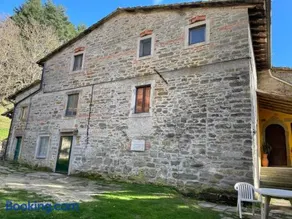 SO MAGIC - La casa nel bosco - Image 2