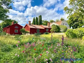Heritage-listed country cottages - Image 1