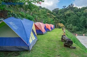 ม่อนหนาว ลานกางเต็นท์ - Image 1