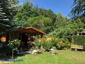 Naturblick am Petersdorfer See - Image 3