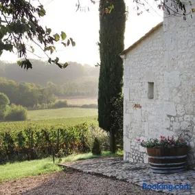 Dovecote of Château Hostens-Picant - Image 4