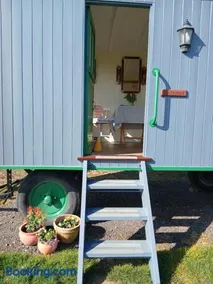 Galahad - Shepherd's Hut - Image 4