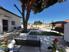 Limnos Twin Pine - Image 2