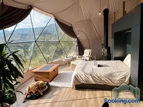 Dome in Nature - Image 2