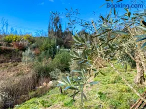 Encosta do Sol - Image 3