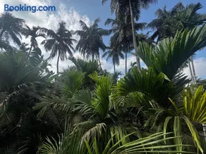 Seven Seas Beach Resort - Image 2