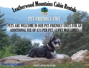 The Last Resort by Leatherwood Mountains Resort - Image 1
