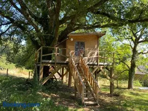 Cabane dans un chêne tricentenaire - Image 4