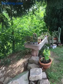 Gîte Le Vieux Ruisseau Sauna et Massages - Image 2
