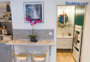 Jungle Studio - 2P à 4P -Henriville - Image 3