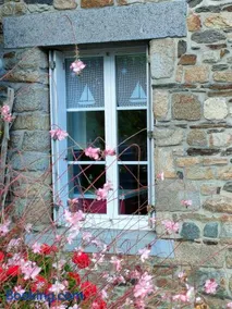 Maison de charme au Vivier-sur-Mer avec terrasse privée - Image 2