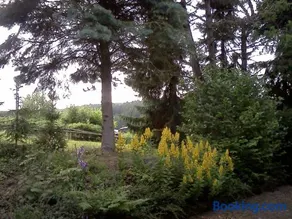 Haus am Wald - Image 3