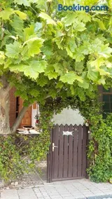 Agave Apartman - Image 3