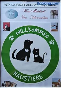 Hotel Medebach - Zum Schwanenkönig - Image 3
