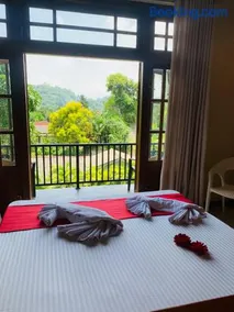Traders stay kandy - Image 2