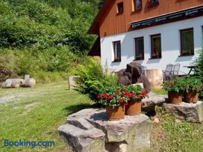 Horský pes Říčky - Image 3