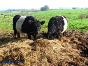 Kristiansminde Farm Holiday - Image 2