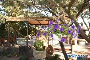 Splendida villa in riva al mare - Image 5
