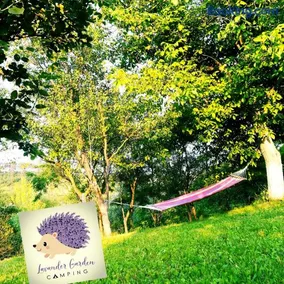 Lavander Garden Camping - Image 1