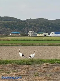 Comfort Stay Abashiri - Image 2