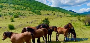 Lika Mountain Lodge - Image 4