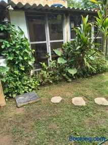 Hospedagem Natureza na Dutra canto dos pássaros - Image 3