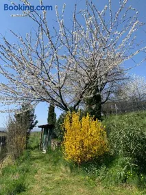 Appartamento TieMi - Image 2