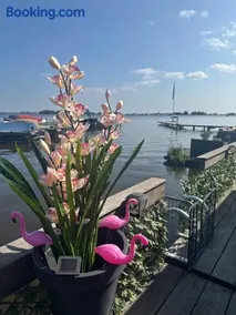 woonboot de dobber aan de Loosdrechtse plassen 4-8 personen - Image 2
