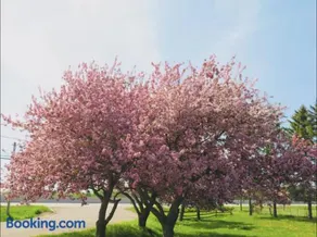 Orchard Haven - Image 2