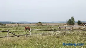 Agroturystyka - Pasieka Miody Gór Opawskich - Image 3