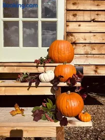 The little shepherds hut - Image 4