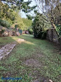 Le petit meslier - Image 3