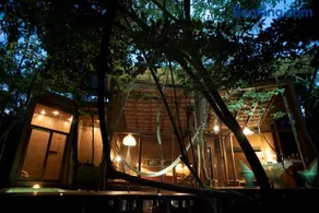 OJO DE ÁRBOL, boutique cabin in the real jungle - Image 1