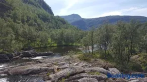 Spacious Wood Cabin 50 min from Bergen - Image 2