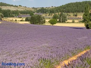 EL DESCANSO DE PINARES - VuT en Huerta de Rey - Image 2