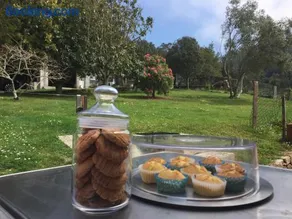 Casa con terrazza, internet veloce e griglia | Vista sul mare | Ideale per lavorare da remoto - Image 3
