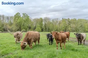 Cozy Highland Cattle-View Suite Peaceful, Private Pet-Friendly - Image 1