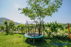 Panorama Vegapansion - Image 5