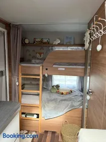 Sleep with Alpacas I Glamping Retreat in National Park Thy - Image 5