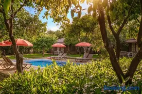 Mandarin Bungalow - Image 1