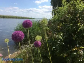 Feriendomizil Wohltat - Image 2
