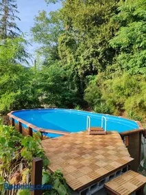 Oasi degli ulivi con piscina privata tra Versilia e Cinque Terre - Image 1