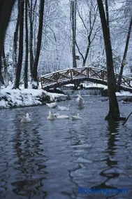 HARA Bıçkıdere - Image 4