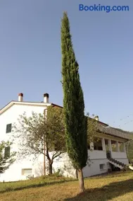 Azienda Agricola Sebastiani - Image 2