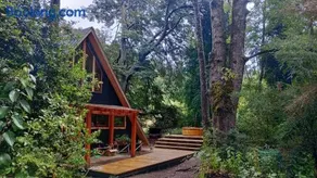 Cabañas bosque sur - Image 3
