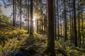 Glentress Forest Cabins - Forest Holidays - Image 2