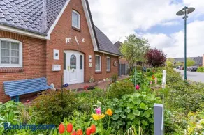 Haus-Sturmschwalbe - Image 1