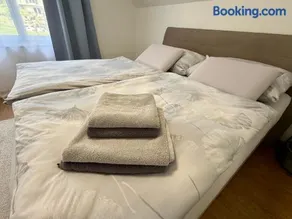 Trewia 7 - Apartment Vaduz - Free Parking - Terrace - Image 3