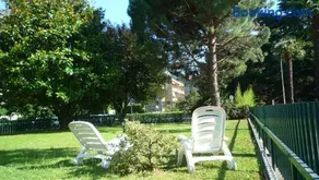 Il girasole - Image 2