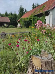 Jabłkowo-na skraju Puszczy Boreckiej ŚNIADANIA W CENIE - Image 3